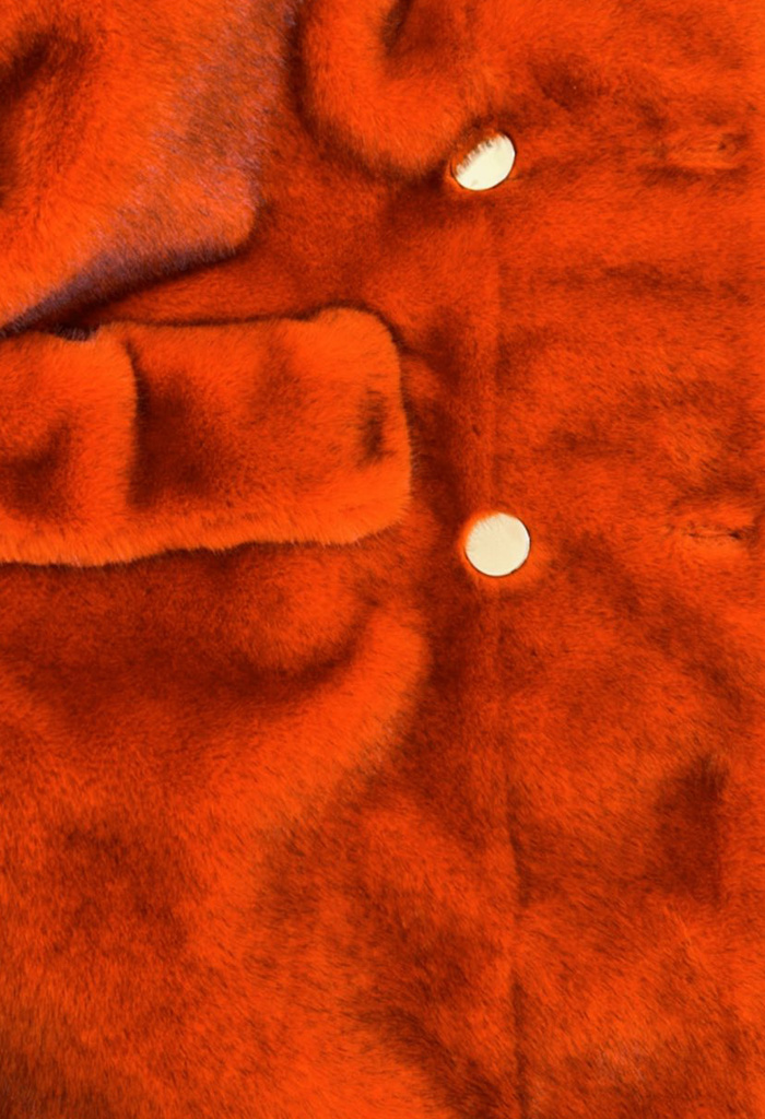Μακριά γούνα πορτοκαλί
